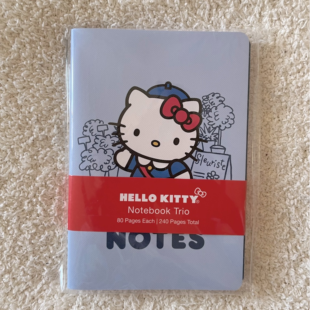 Hello Kitty Paris notebooks.